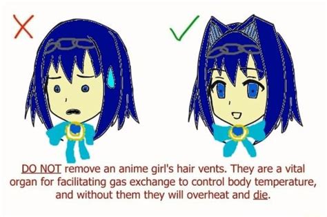 Do Not Remove An Anime Girls Hair Vents They Are A Vital Organ For