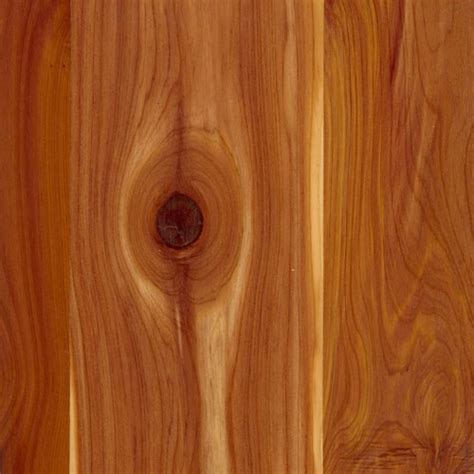 Aromatic Cedar Plywood The Woodworkers Candy Store