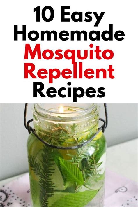 Easy Homemade Mosquito Repellent Recipes For Yard And Home Try These