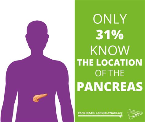 take action against pancreatic cancer pancreatic cancer action