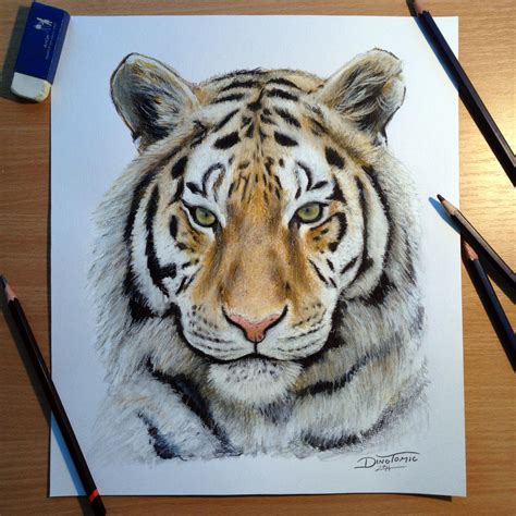 Tiger Pencil Drawing By AtomiccircuS On DeviantArt