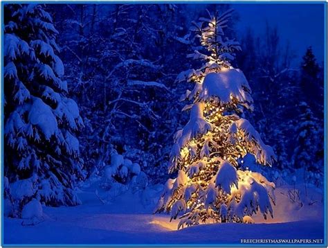 Christmas Tree Snow Screensaver Download Screensaversbiz