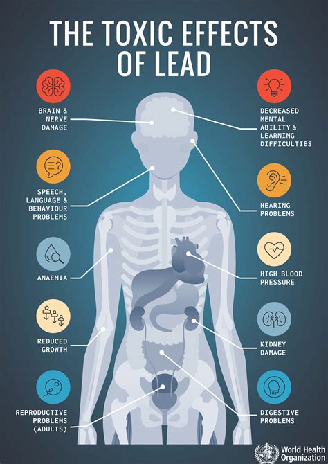 About International Lead Poisoning Prevention Week 2022