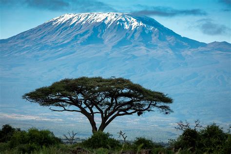 Mount Kilimanjaro Shot From Amboseli National Park In Kenya 2160 X