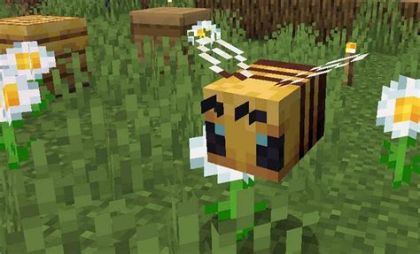 How To Breed Bees In Minecraft