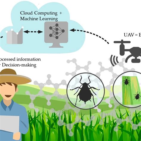Pdf Early Detection Of Aphid Infestation And Insect Plant Interaction