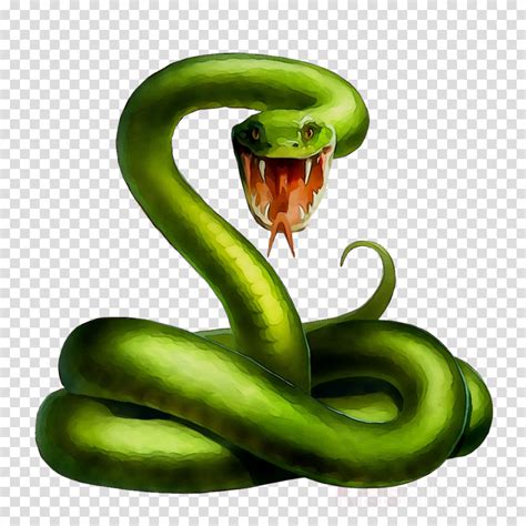 Vegetable Cartoon clipart - Snakes, Illustration, Drawing, transparent clip art