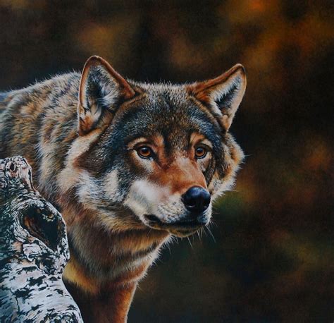 Wolf Portrait Painting By Esthervanhulsen On Deviantart
