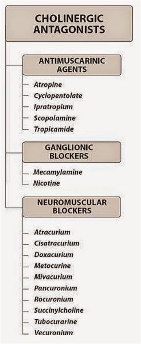 Pharmacological Blog Cholinergic Antagonists