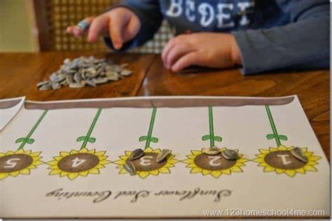 🌻 Free Printable Sunflower Seed Counting Activity