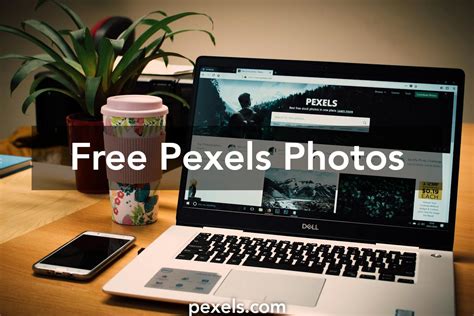 50 Amazing Pexels Photos · Pexels · Free Stock Photos