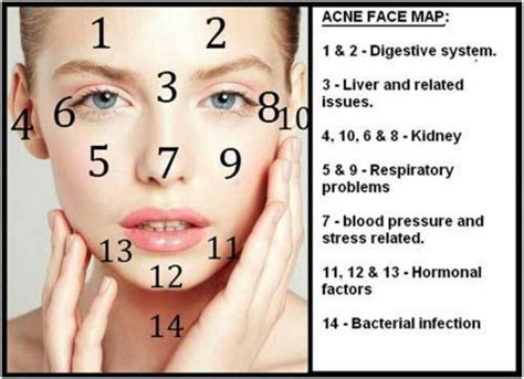 This process is called as face. The Scoop on Acne Spots and What They Mean ...