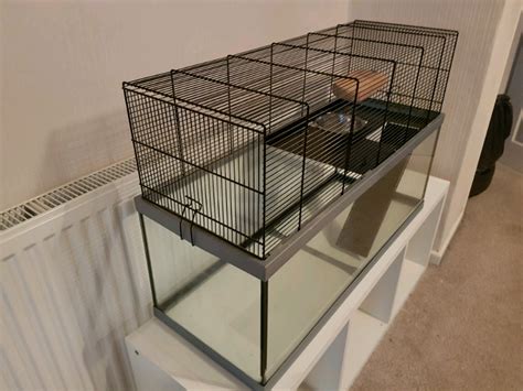 Glass Gerbilhamster Cage In Patchway Bristol Gumtree
