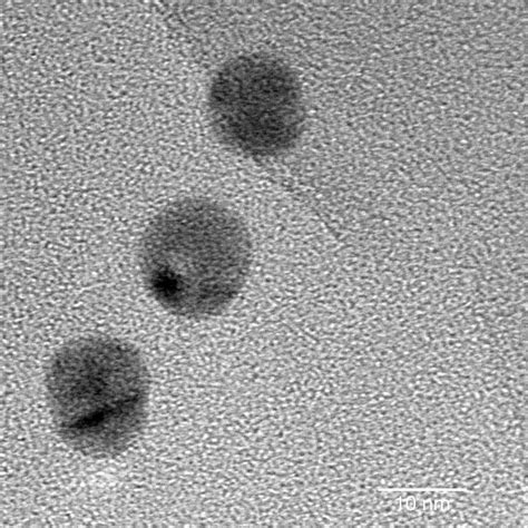 10 Nm Gold Nanoparticles Peg 3000 Functionalized