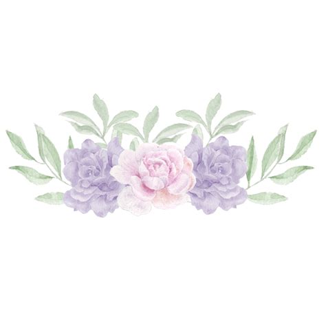 Pink Roses Watercolor White Transparent Pink And Purple Rose