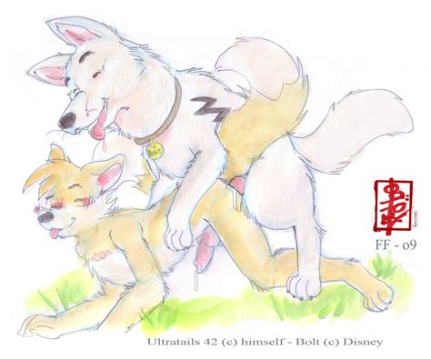 Rule 34 2009 Bolt Character Bolt Film Disney Fennec Gay Male Only