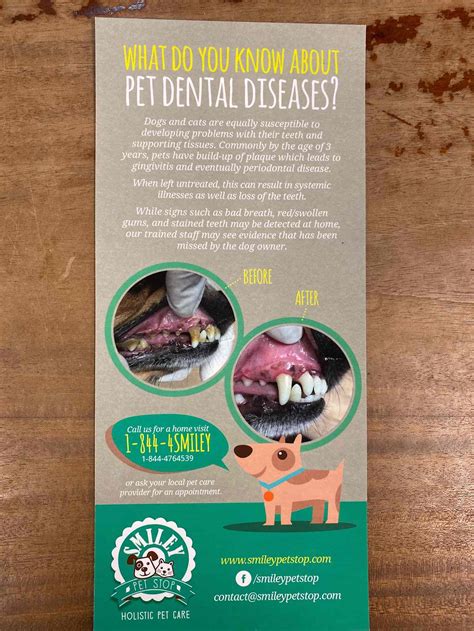 Non Anesthetic Dental Cleaning For Dogs Green Paws Pet Market