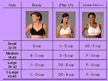 Bra size chart with real pictures. Real boob sizes - Pics and galleries