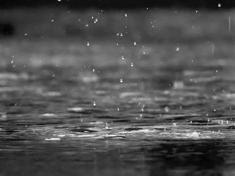 350 Rain Pictures Hd Download Free Images And Stock
