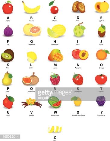 List of vegetables and fruits. Alphabet With Fruits Vector Art | Getty Images