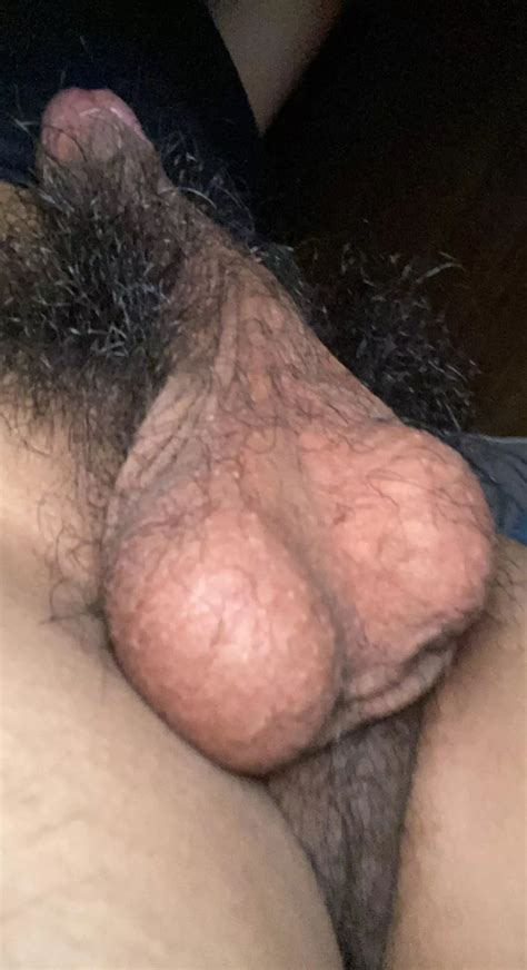 Who Wants To Suck My Big Hairy Mexican Balls Nudes By Jovybastida