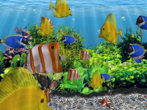 3d Fish School Screensaver Protetor De Tela