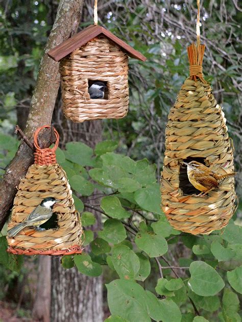Finch Bird Houses Lets Get It Right Birdcage Design Ideas