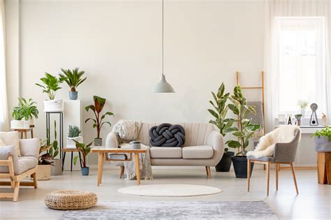 Real Photo Of A Botanic Living Room Interior Full Of Plants With A Grey