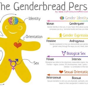 The Genderbread Person V It S Pronounced Metrosexual