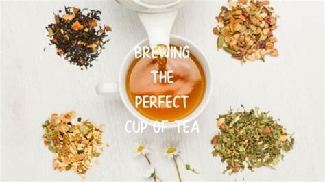 Brewing The Perfect Cup Of Tea Java Momma