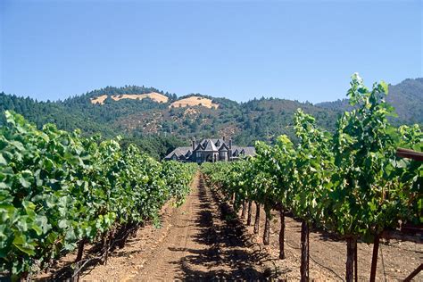Ledson Winery And Vineyard Sonoma County California Photograph By