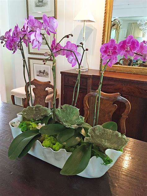 Pots are important to great orchid growth. A Gardener's Secrets to DIY Planters