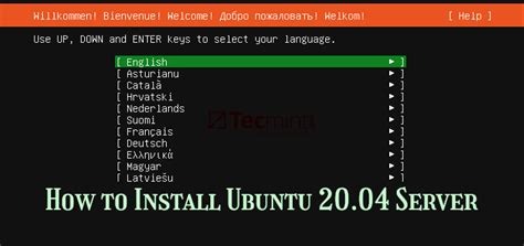 How To Install Ubuntu 20 04 Server Free Nude Porn Photos