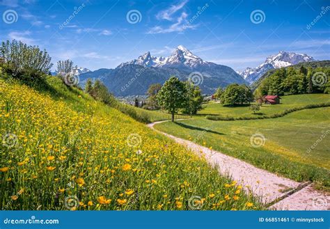 Idyllic Alpine Landscape With Green Meadows Farmhouses And Snowcapped