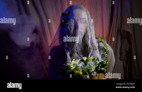 Witches Face Stock Videos And Footage Hd And 4k Video Clips Alamy