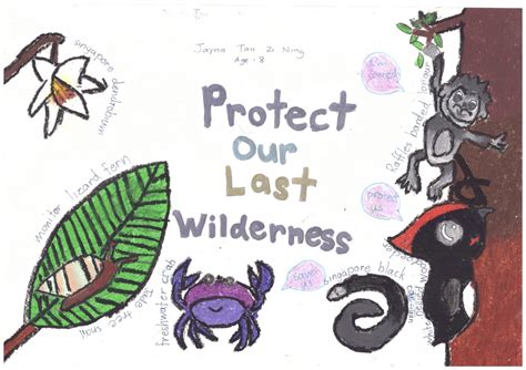 Winners Of The Endangered Species Kids Poster Design Contest Cicada