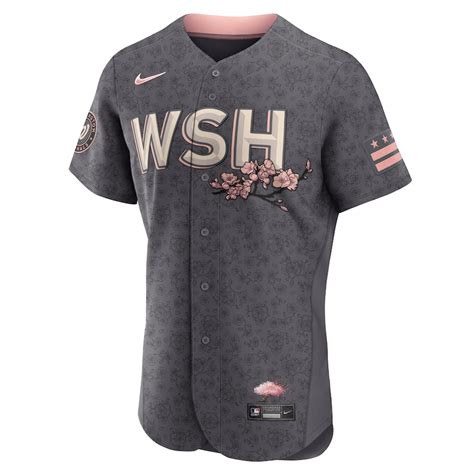 Washington Nationals Nike Official Replica City Connect Jersey Mens