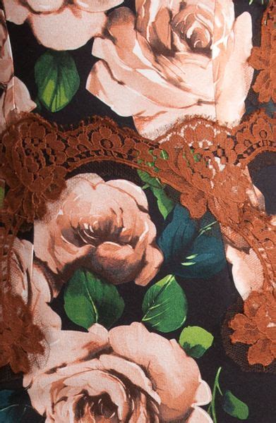 Dolce Gabbana Rose Print Stretch Cady Dress In Floral Black Print