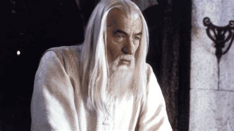 Ian Mckellen Almost Played Dumbledore But An Insult Stopped Him