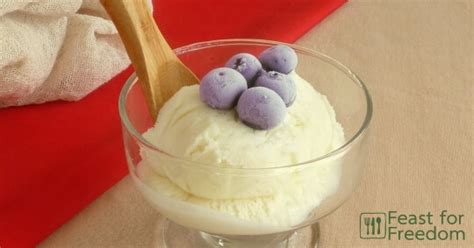 Stevia Sweetened Vanilla Ice Cream Ice Cream Dairy Recipes