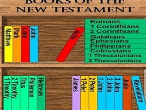 Estructura Del Nuevo Testamento Todo Sobre Sus Libros