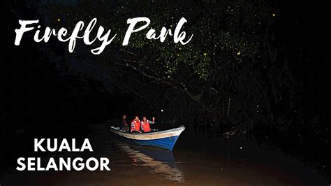 A Visit To Firefly Park In Kuala Selangor Kuala Lumpur Malaysia Youtube