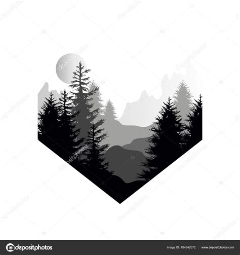 Beautiful nature landscape with silhouette of coniferous forest ...