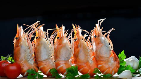 Shrimp Food Best Hd 4k Wallpaper 42072 Baltana