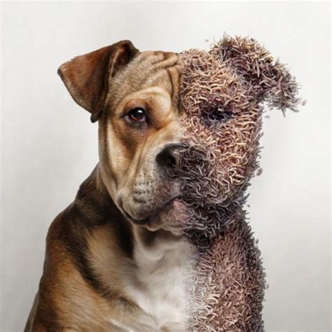 Collection by nice photoshop actions pencil. Awesome Photoshop Work That Is Cool and Creative (41 pics ...