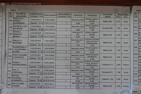 Colegiulnational ana aslan timisoara scoala sanitara postliceala. S-au afisat rezultatele la Bacalaureat 2013, la Timisoara ...