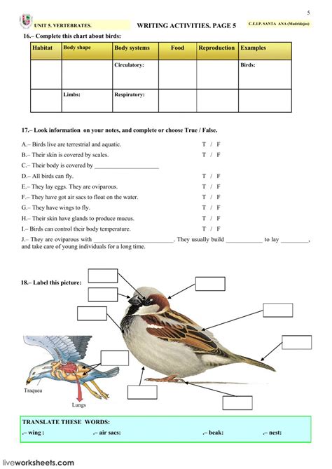 Read more work sheet on introduction to inverta brate : VERTEBRATES Interactive worksheet