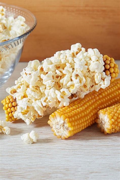 Popcorn Fresh From The Farm—and Enjoyed Straight Off The Cob All