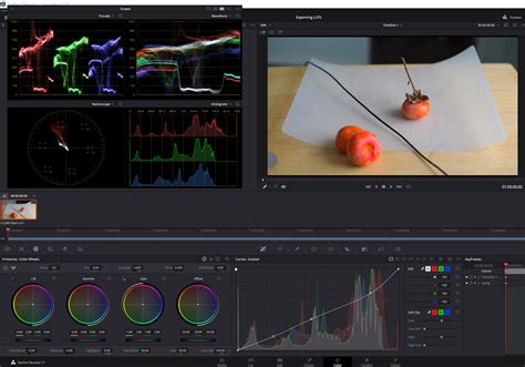 Daro Tech How To Import And Export Luts In Davinci Resolve My XXX Hot