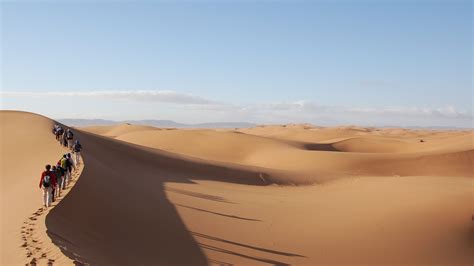 People Adventure Sahara Desert Sand Hd Wallpaper